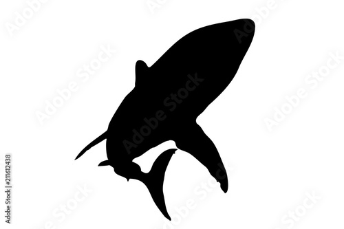 Silueta de tiburones.
