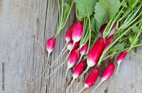 Top view of fresh oblong bright radishes on a wooden background. Organic food. Free space for text