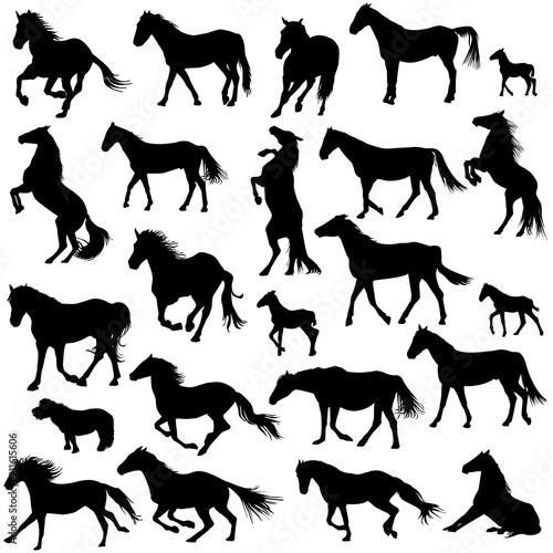 Silhouettes of horses