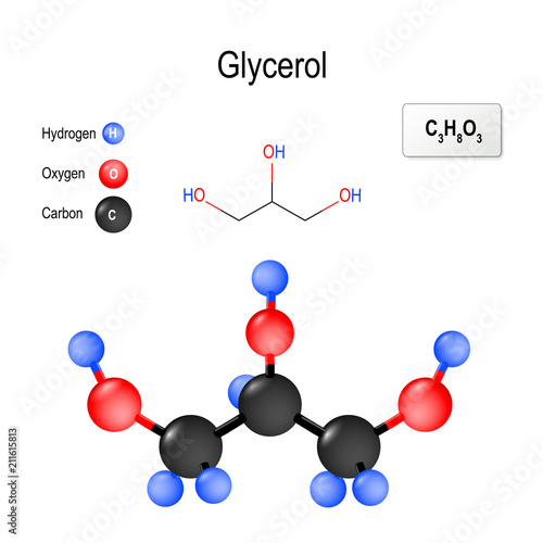 Glycerol (glycerine, glycerin). Structure of a molecule
