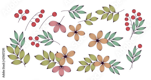 Colorful elegant leaves and...