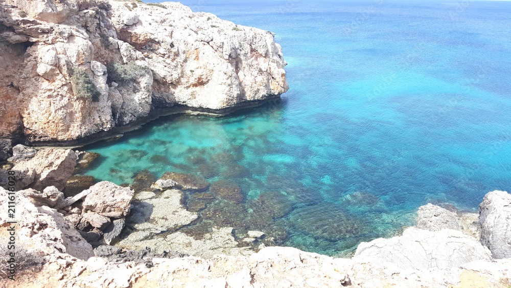 Fototapeta premium natura