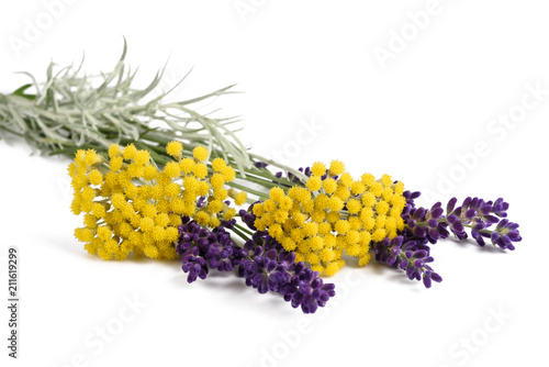 Fototapeta Naklejka Na Ścianę i Meble -  lavender and helichrysum