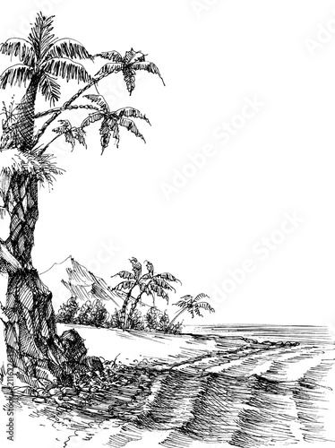 Beach and sea view, palm trees on shore