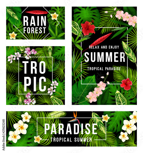 Summer tropical paradise poster with palm leaf