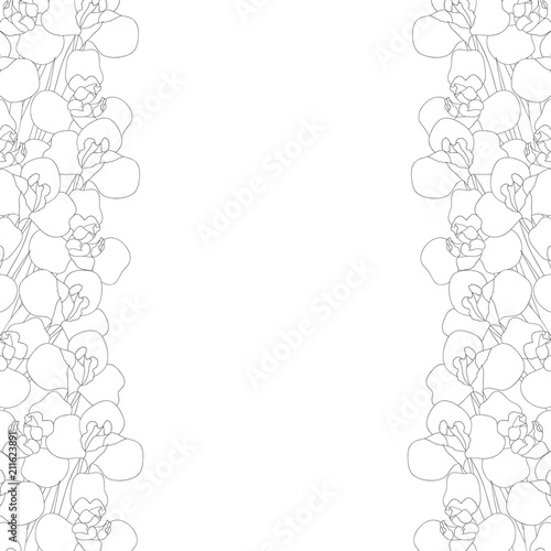 Fototapeta Naklejka Na Ścianę i Meble -  Iris Flower Outline Border on White Background. Vector Illustration.