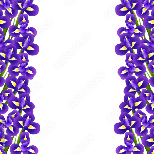 Fototapeta Naklejka Na Ścianę i Meble -  Iris Flower Border