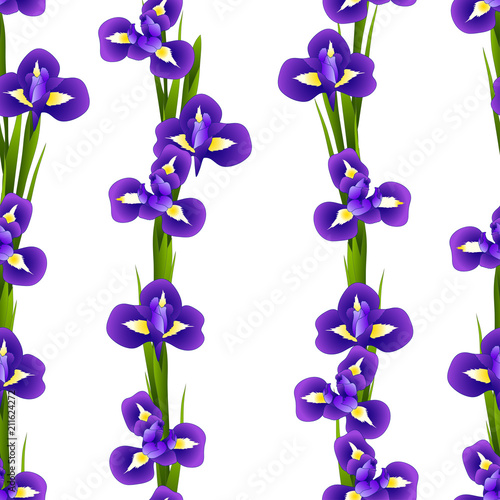 Fototapeta Naklejka Na Ścianę i Meble -  Iris Flower Seamless on White Background