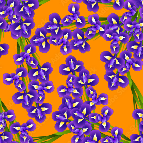 Fototapeta Naklejka Na Ścianę i Meble -  Dark Blue Purple Iris Flower on Orange Background.