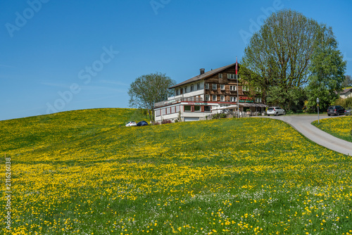 Swiss, Appenzell, Weissbad valley view 