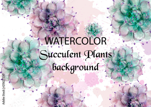 Succulent plants watercolor. Tropic exotic pattern Vector. Exotic summer background illustrations