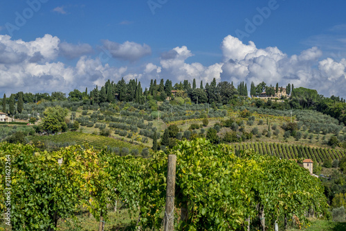 Landscape and Vineyards in Tuscany  Italy