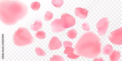 Vector illustration with realistic pink rose petals, isolated on a white background. 