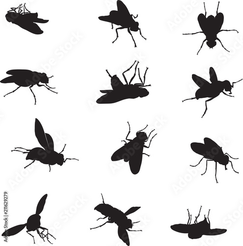 Leinwand Poster Fly, various images, vector, black silhouette