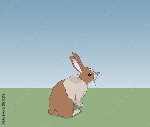 hare gray vector