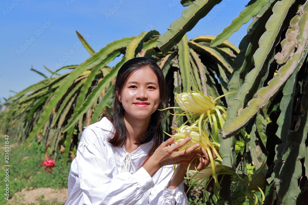 a woman in dragon fruit farm in Vietnam a woman in dragon fruit farm in Vietnam