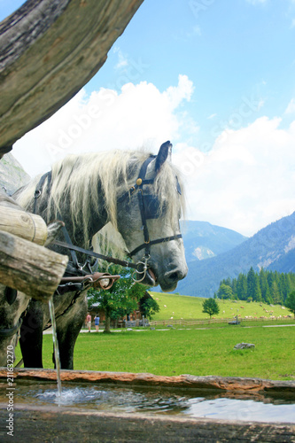 Romantischer Ausflug ins Karwendelgebirge, Engalm im kleinen Ahornboden photo