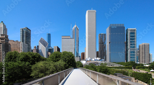 USA - Chicago skyline from Art Institute Bridgeway photo