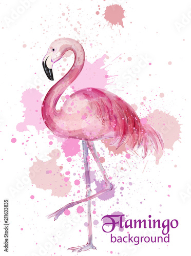 Vintage Flamingo watercolor card Vector. Hand made design decors