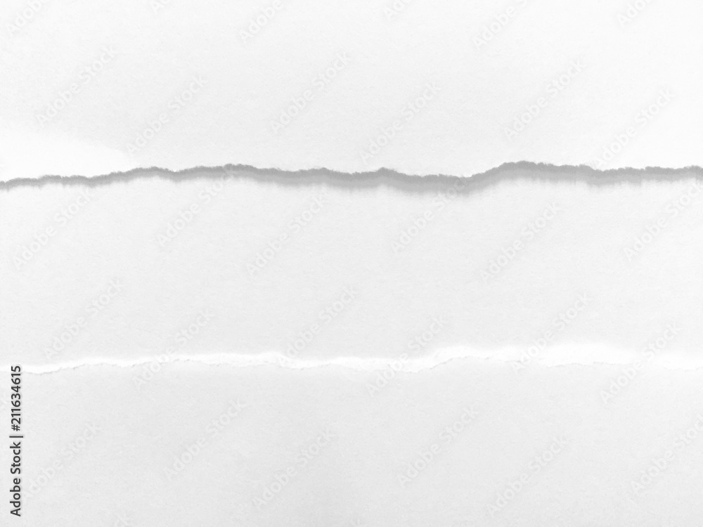 Obraz premium pieces of torn paper texture background, copy space.