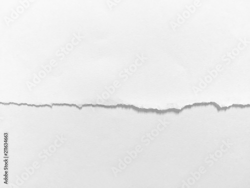 Wallpaper Mural pieces of torn paper texture background, copy space. Torontodigital.ca