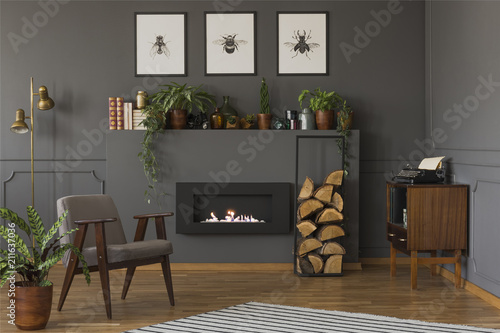 Plant next to grey armchair in warm apartment interior with fireplace under posters. Real photo