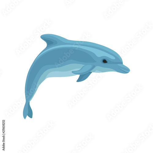 Blue dolphin vector Illustration on a white background