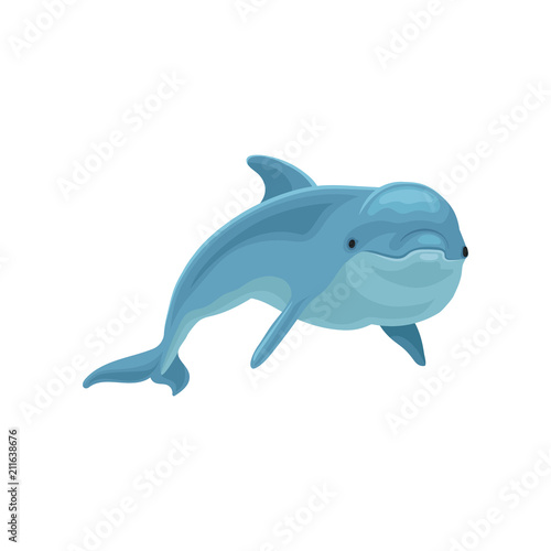 Blue dolphin swimming vector Illustration on a white background