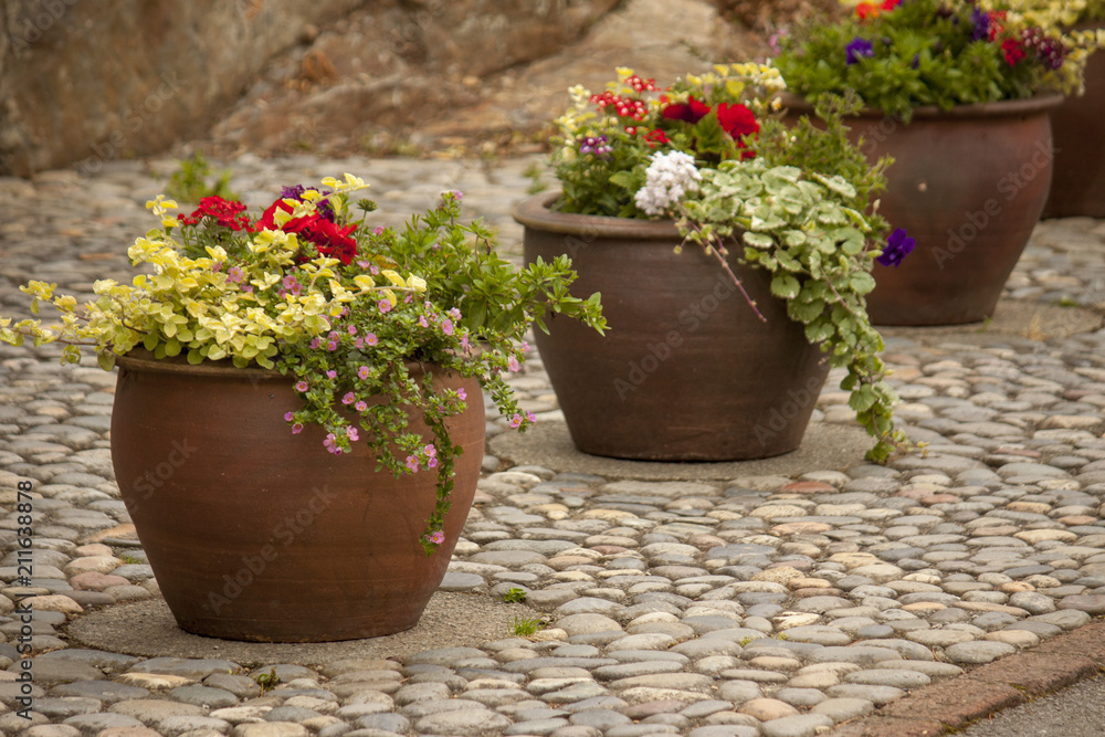 Pots lined up on a pebbled patio terrace.