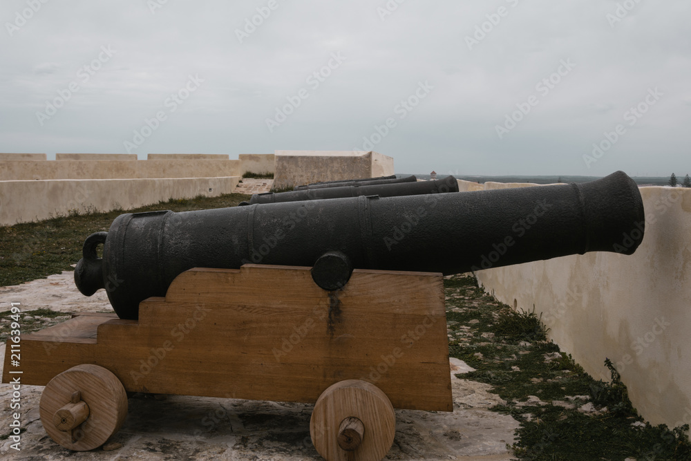 cannons protecting the fortress