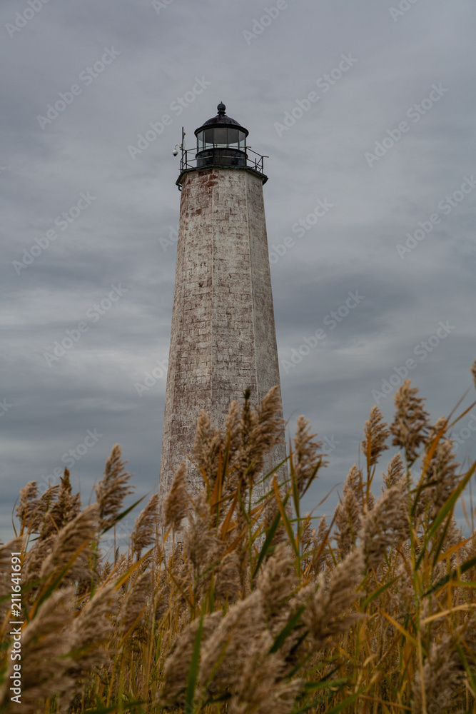 Lighthouse among the weeds