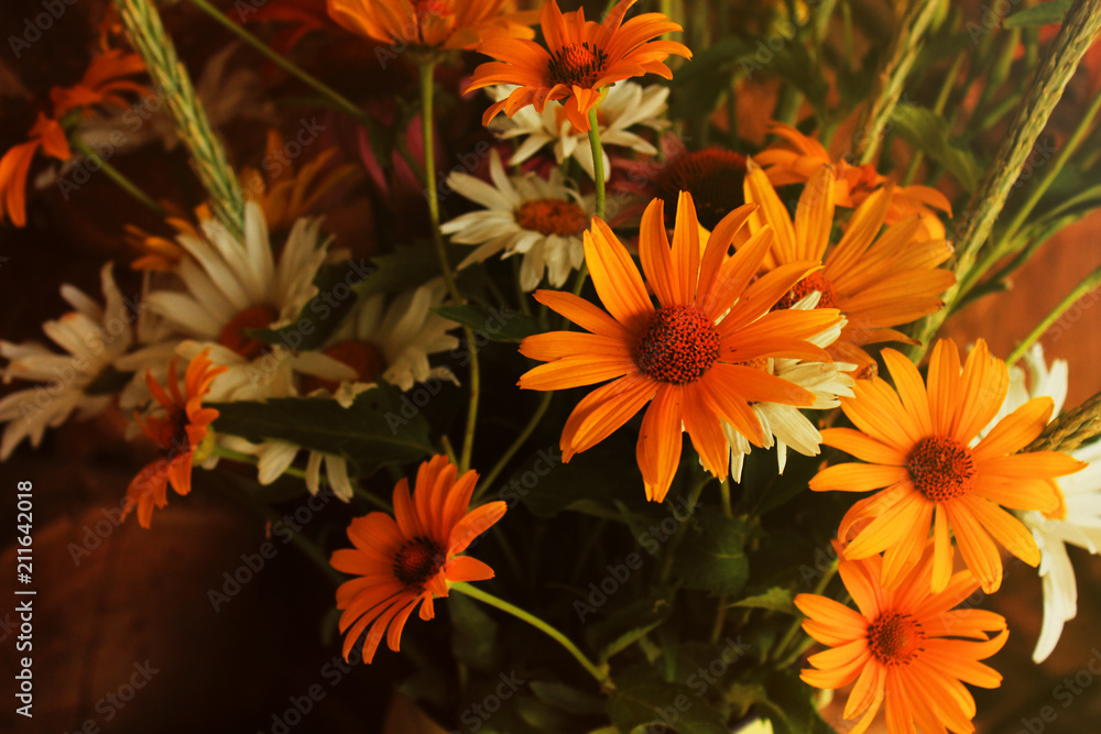 Bouquet of wildflowers among firewoods. Copy space. Autumn background Bouquet of wildflowers among firewoods. Copy space. Autumn background