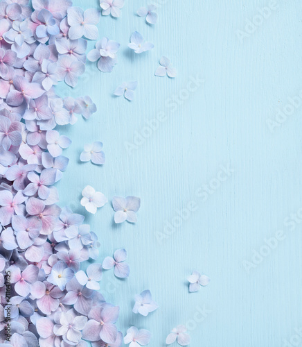 Fototapeta Naklejka Na Ścianę i Meble -  Hydrangea border