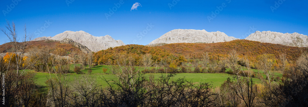 Vista panoramica con paisaje de Montaña de roca caliza tras un  bosque otoñal y prados verdes encuadrado entre arbustos y matorrales en sombra