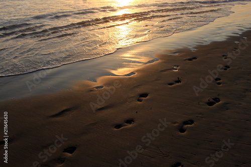 orme sulla spiaggia