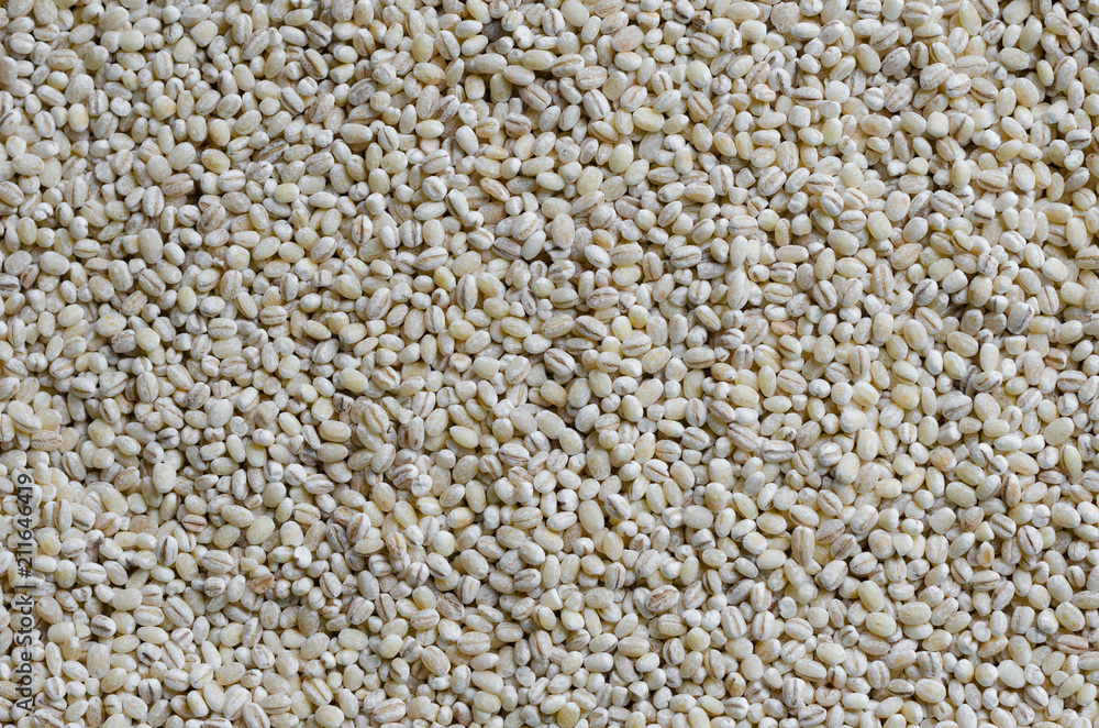 Barleys In Close Up Detail. Barleys In Close Up Detail.