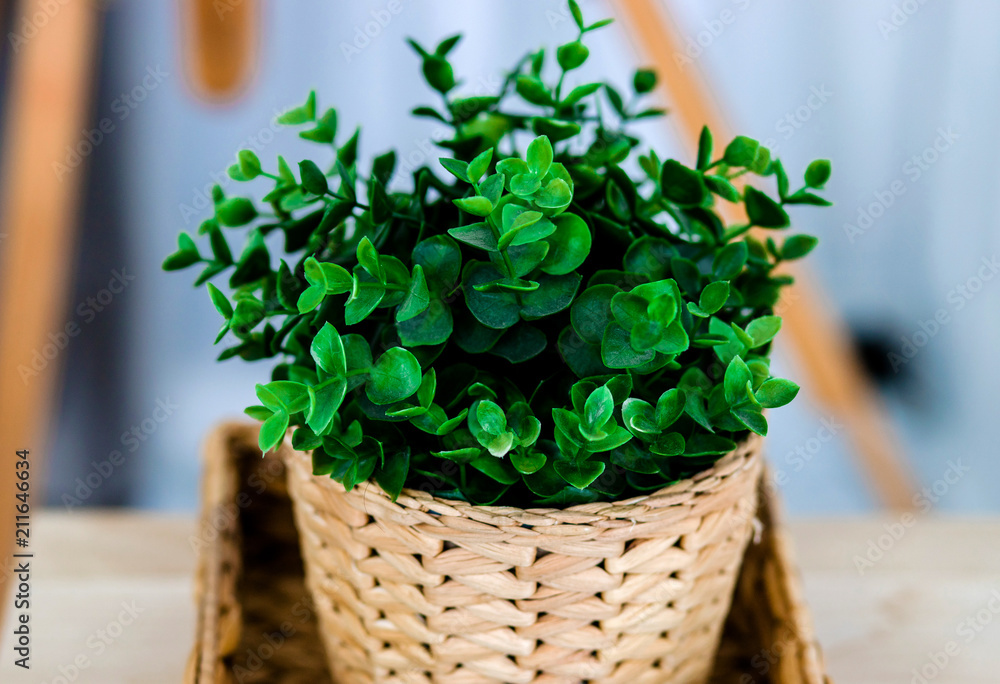Decorative pot of greenery Decorative pot of greenery