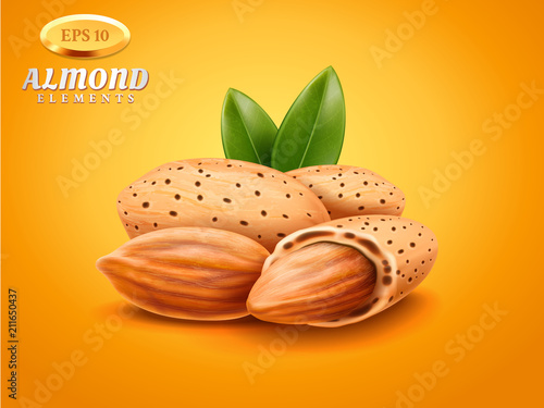 Vector realistic detailed almonds with nutshells with green leaves isolated on warm background. Natural ingredient element for your design. Healthy food theme. 3d Illustration.