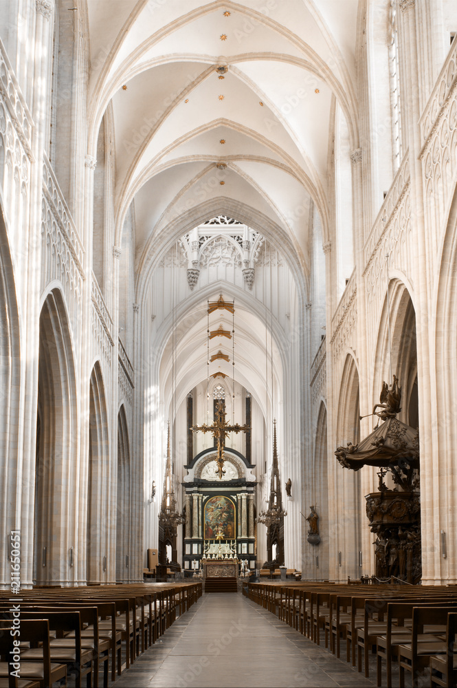 Fototapeta premium Cathedral nave