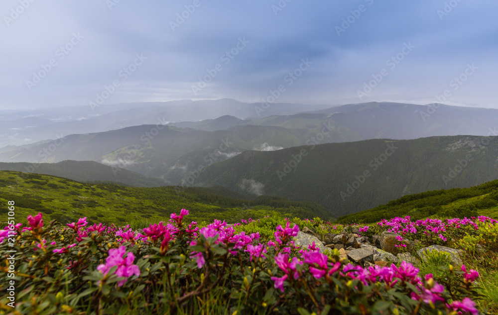 Summer scenery in the Alps with rain and mist clouds