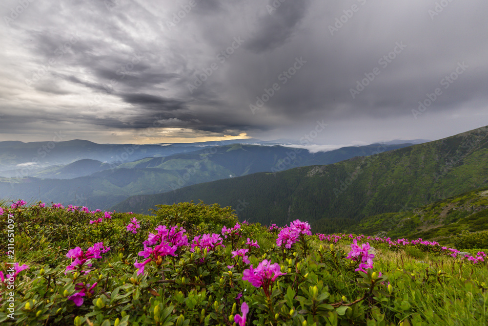 Beautiful scenery in the mountains in spring with mist and rain clouds Beautiful scenery in the mountains in spring with mist and rain clouds