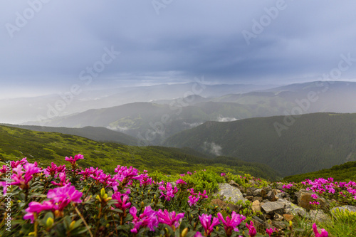 Summer scenery in the Alps with rain and mist clouds