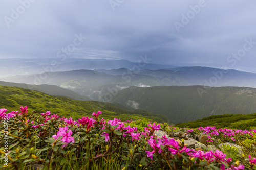 Beautiful scenery in the mountains in spring with mist and rain clouds