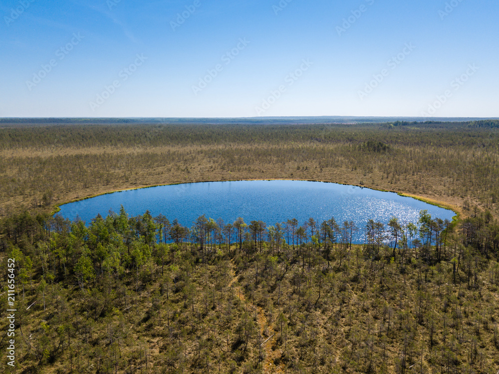 Aerial view of forest lake in swamp Aerial view of forest lake in swamp
