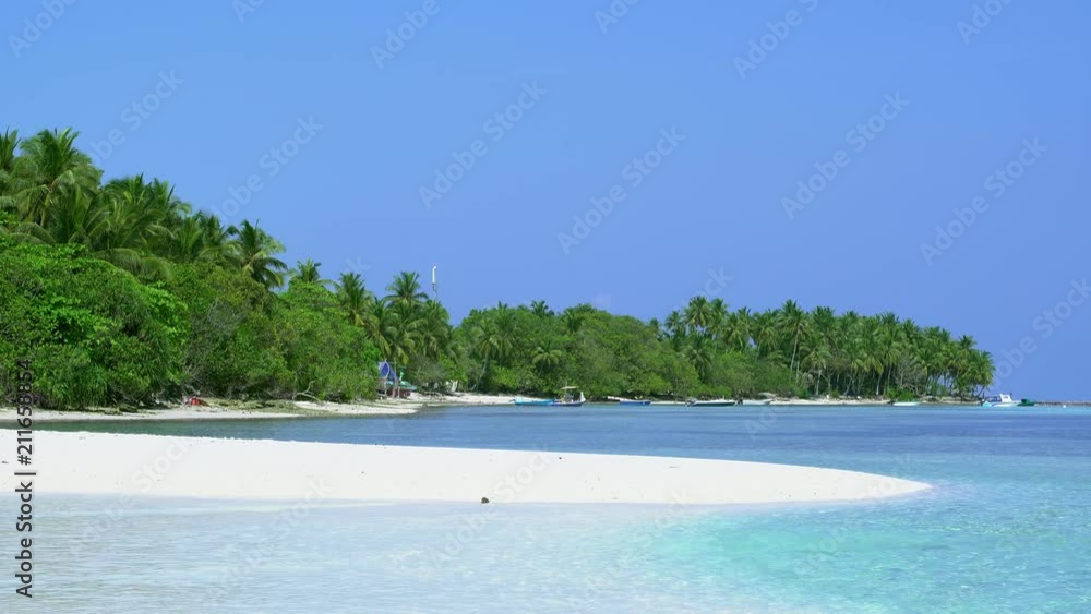 Perfect wild Maldives island with palm trees Perfect wild Maldives island with palm trees