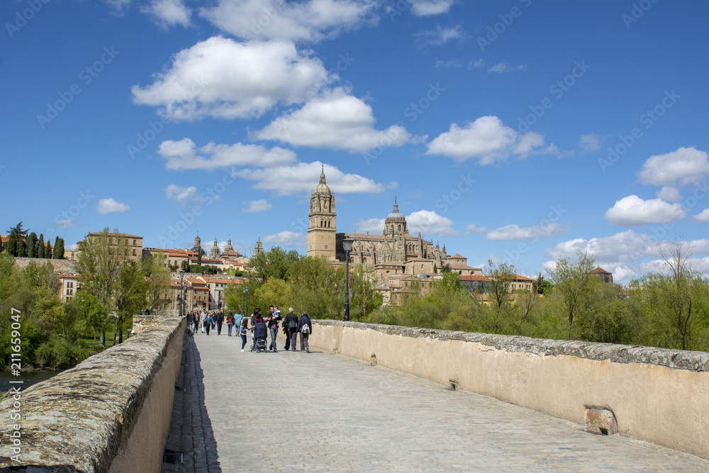 Vista del puente romano y las catedrales de  Salamanca