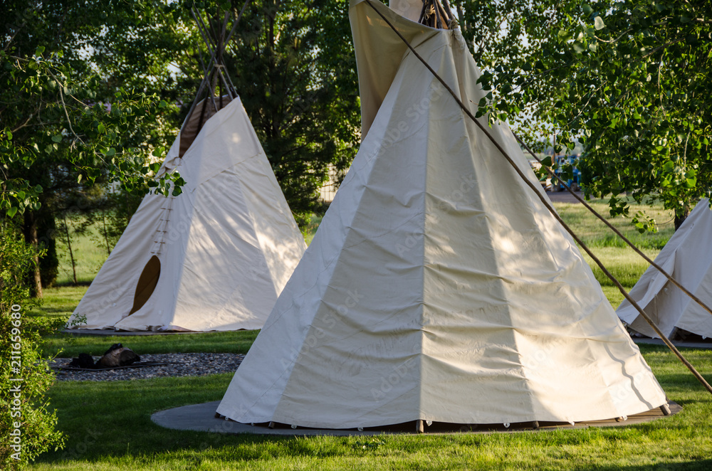 Group of Tipis Standing Among the Trees