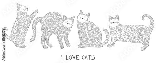 Cats