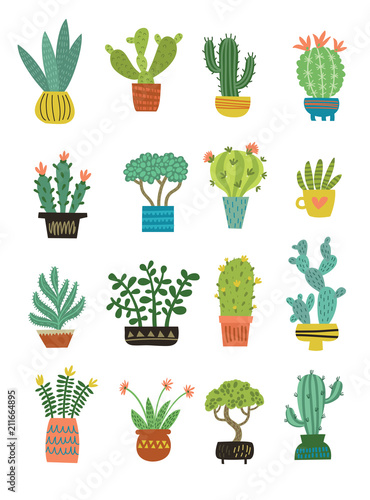 cactus vector pattern