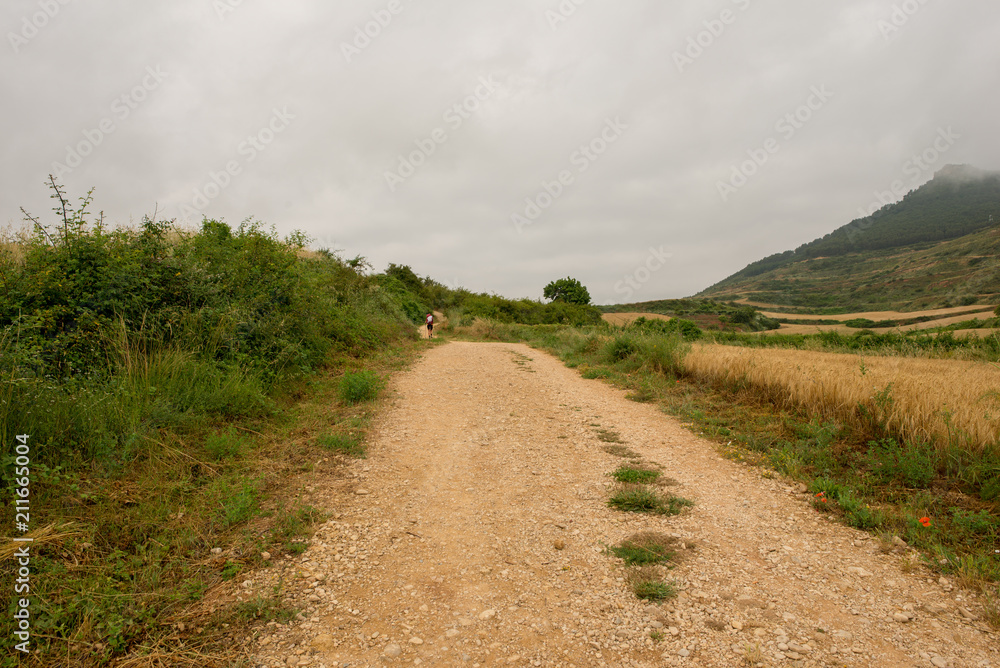 Camino de Santiago as it passes through Navarra